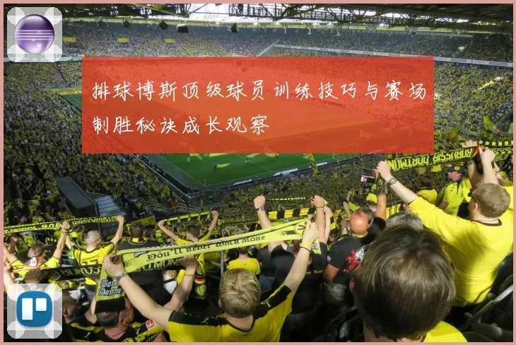 排球博斯顶级球员训练技巧与赛场制胜秘诀成长观察