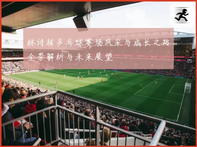 林诗栋乒乓球赛场风采与成长之路全景解析与未来展望