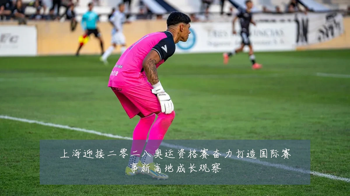 上海迎接二零二八奥运资格赛奋力打造国际赛事新高地成长观察